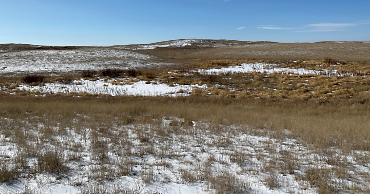 Field Reports: 2026 Spring Habitat Outlook
