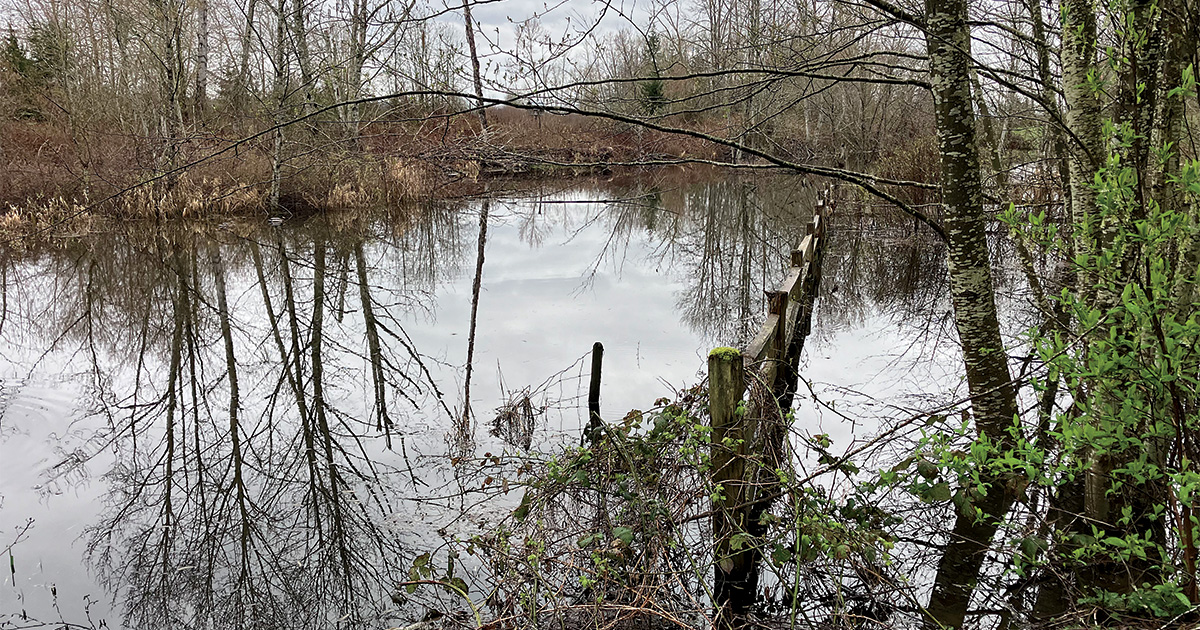 Field Reports: 2026 Spring Habitat Outlook