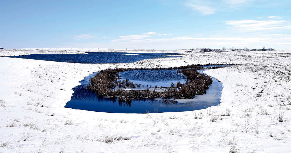 Field Reports: 2026 Spring Habitat Outlook