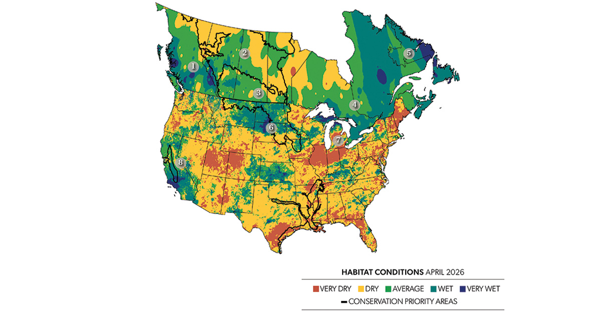 Image for Field Reports: 2026 Spring Habitat Outlook