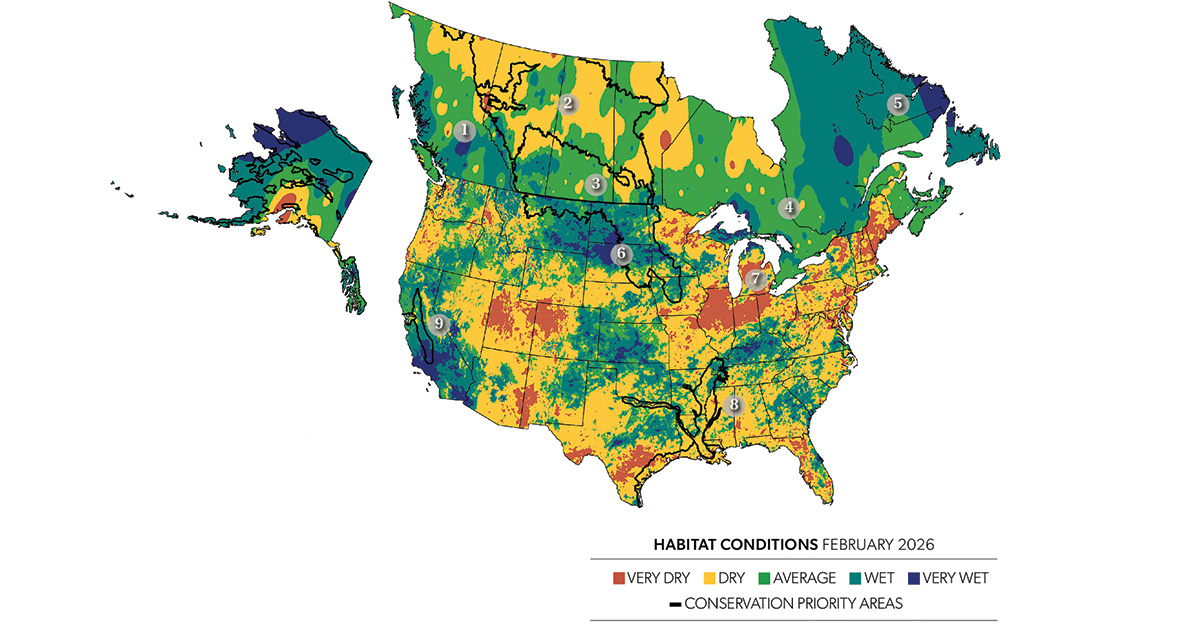 Field Reports: 2026 Early-Spring Habitat Outlook