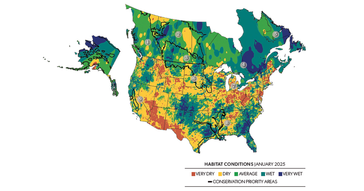 Field Reports: Early-Spring Habitat Outlook