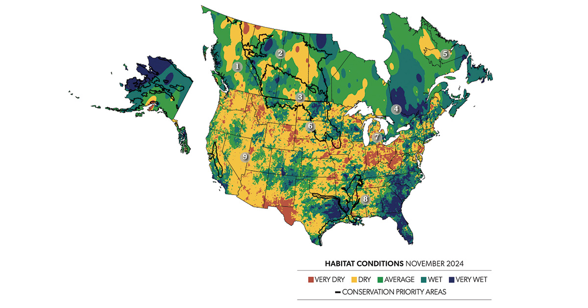 Field Reports: Migration and Wintering Habitat Outlook