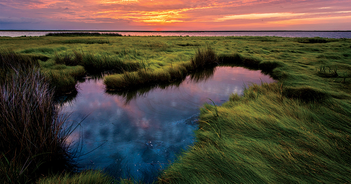 How Duck Hunters are Saving the Planet