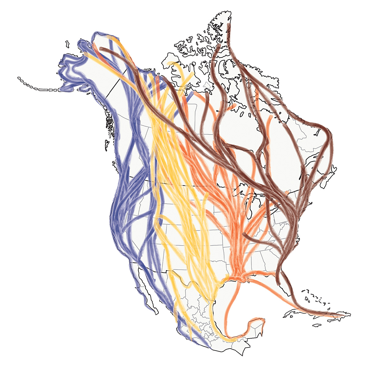Highways In The Sky: The North American Flyways