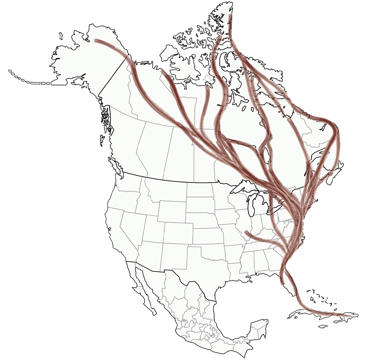 Highways In The Sky: The North American Flyways