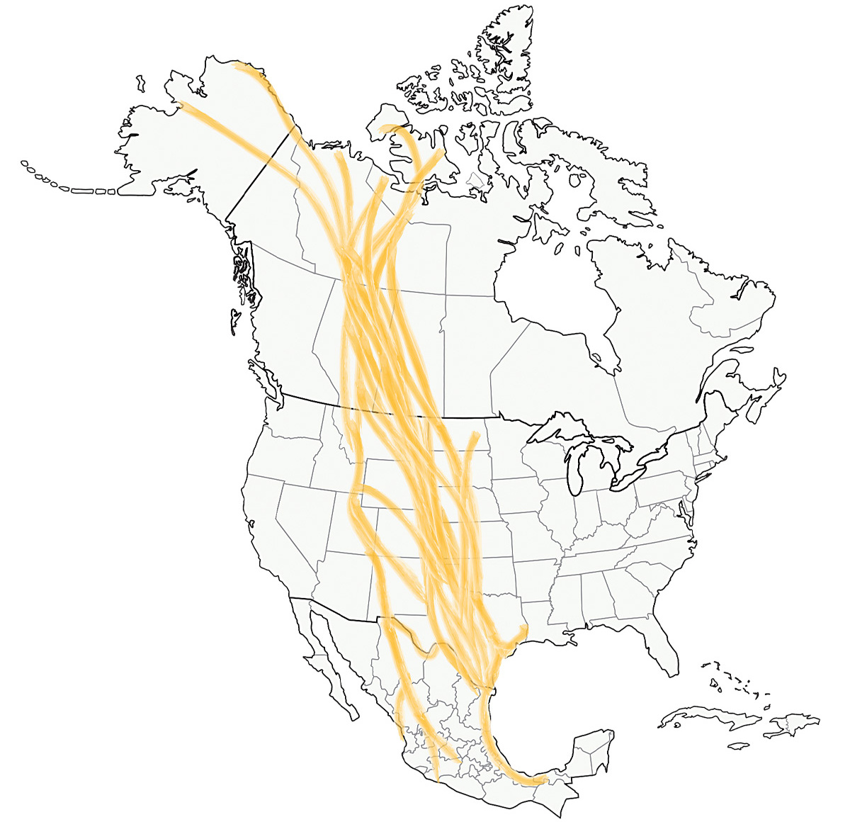 Highways In The Sky: The North American Flyways