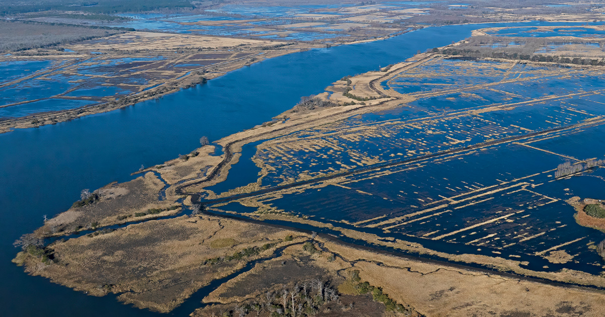 Highways In The Sky: The North American Flyways