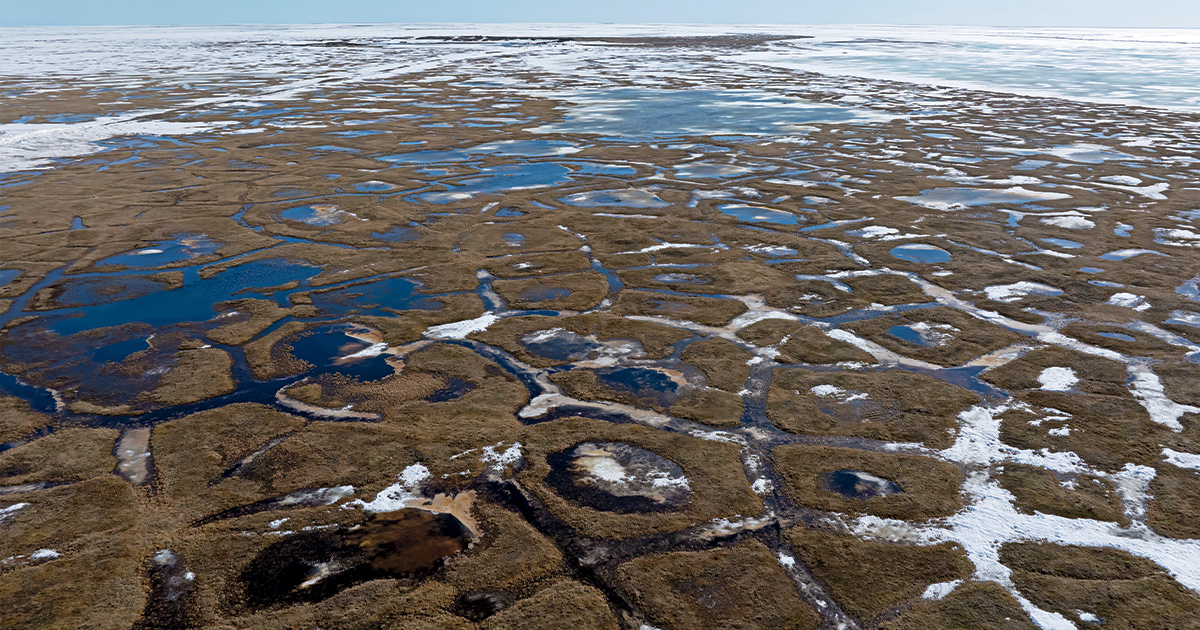 Highways In The Sky: The North American Flyways