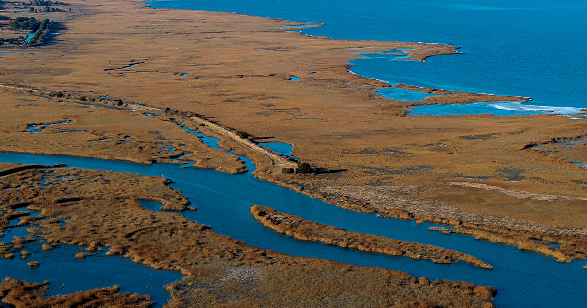 Highways In The Sky: The North American Flyways