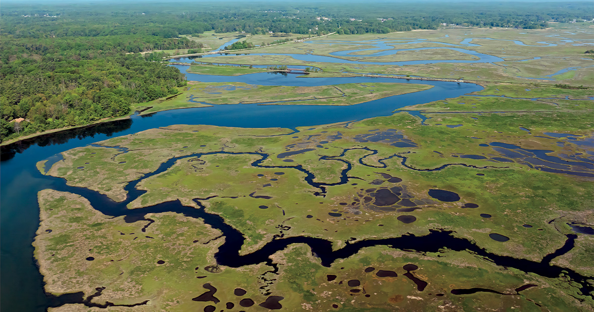 Highways In The Sky: The North American Flyways