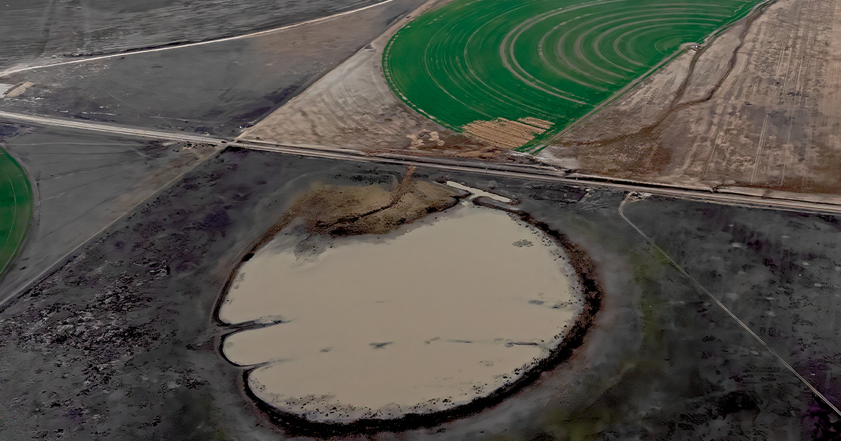 Highways In The Sky: The North American Flyways