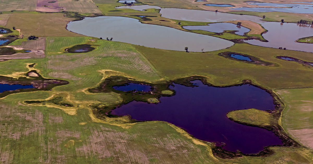 Highways In The Sky: The North American Flyways
