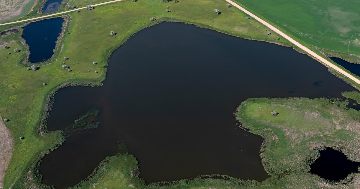 Highways In The Sky: The North American Flyways