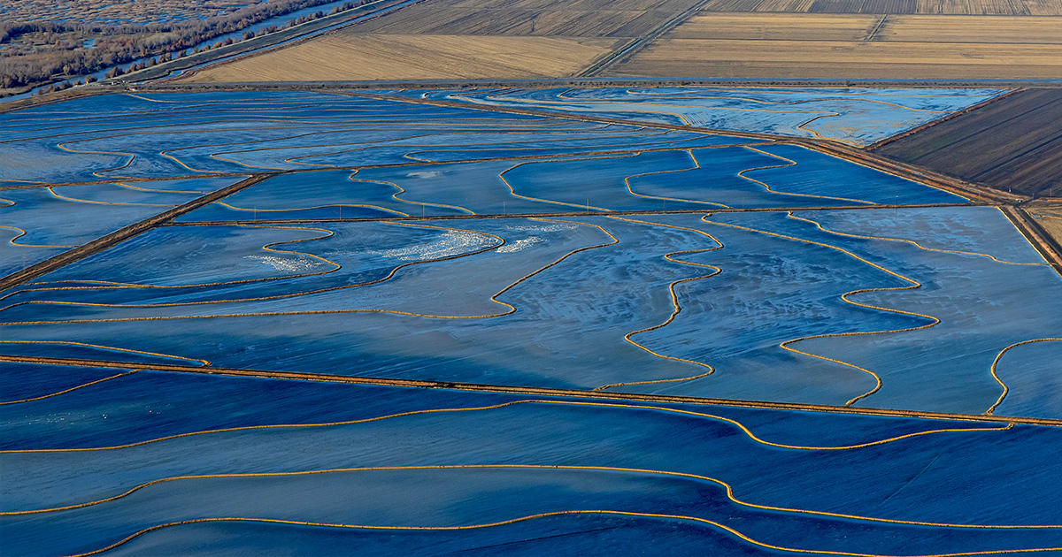 Highways In The Sky: The North American Flyways
