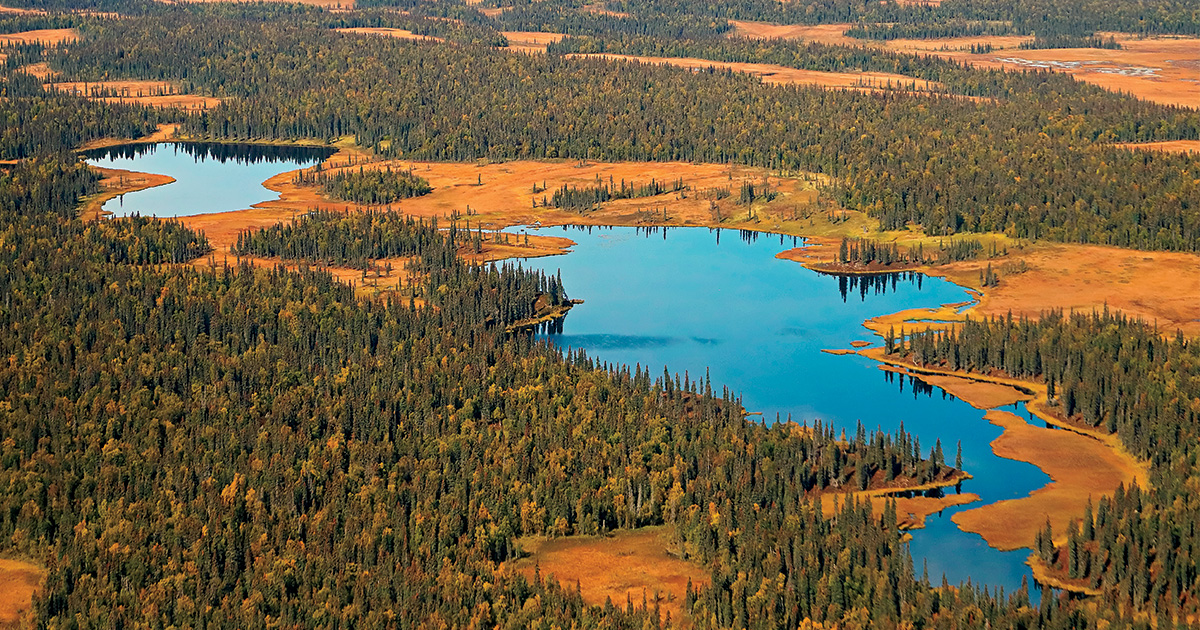 Highways In The Sky: The North American Flyways