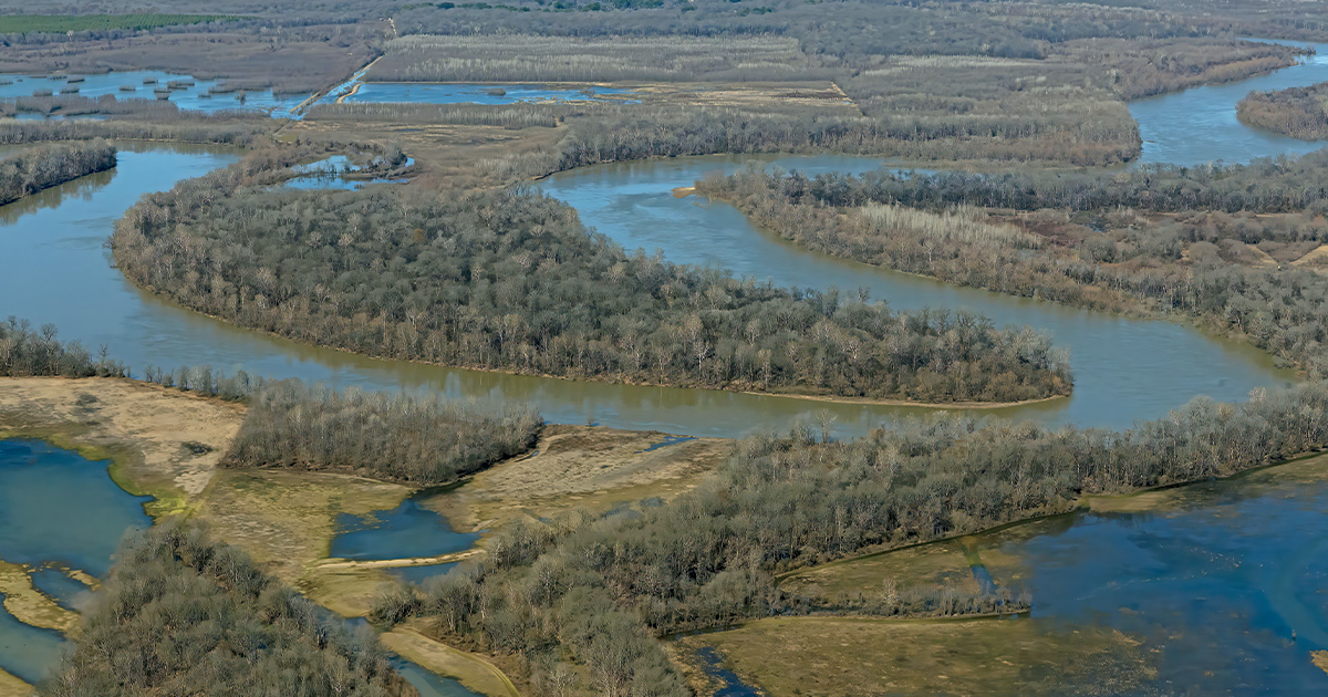 Highways In The Sky: The North American Flyways