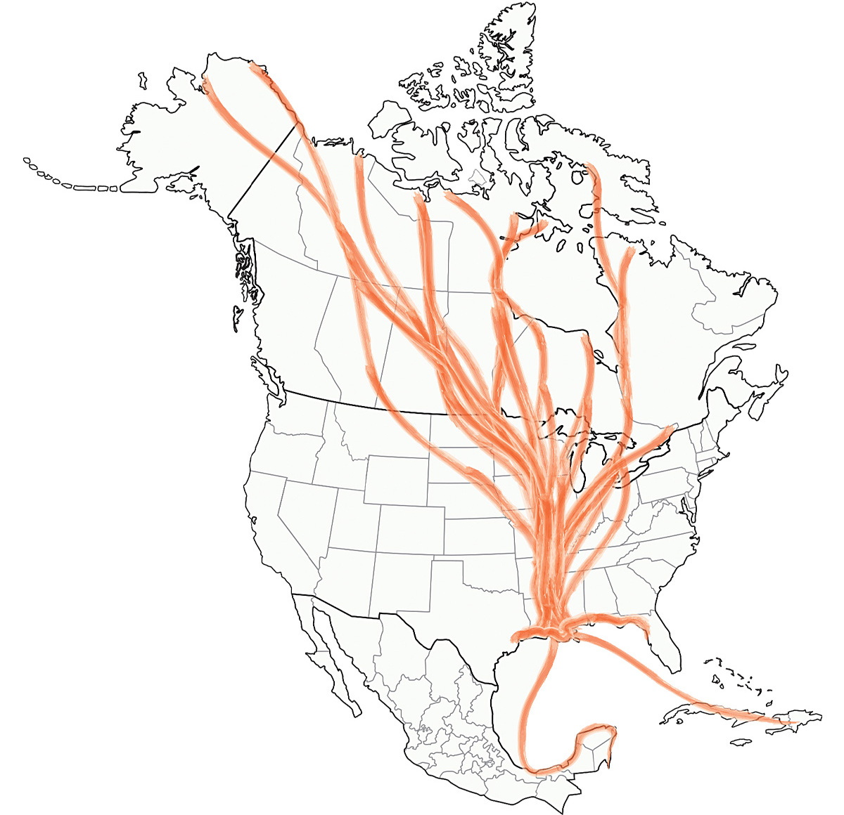 Highways In The Sky: The North American Flyways