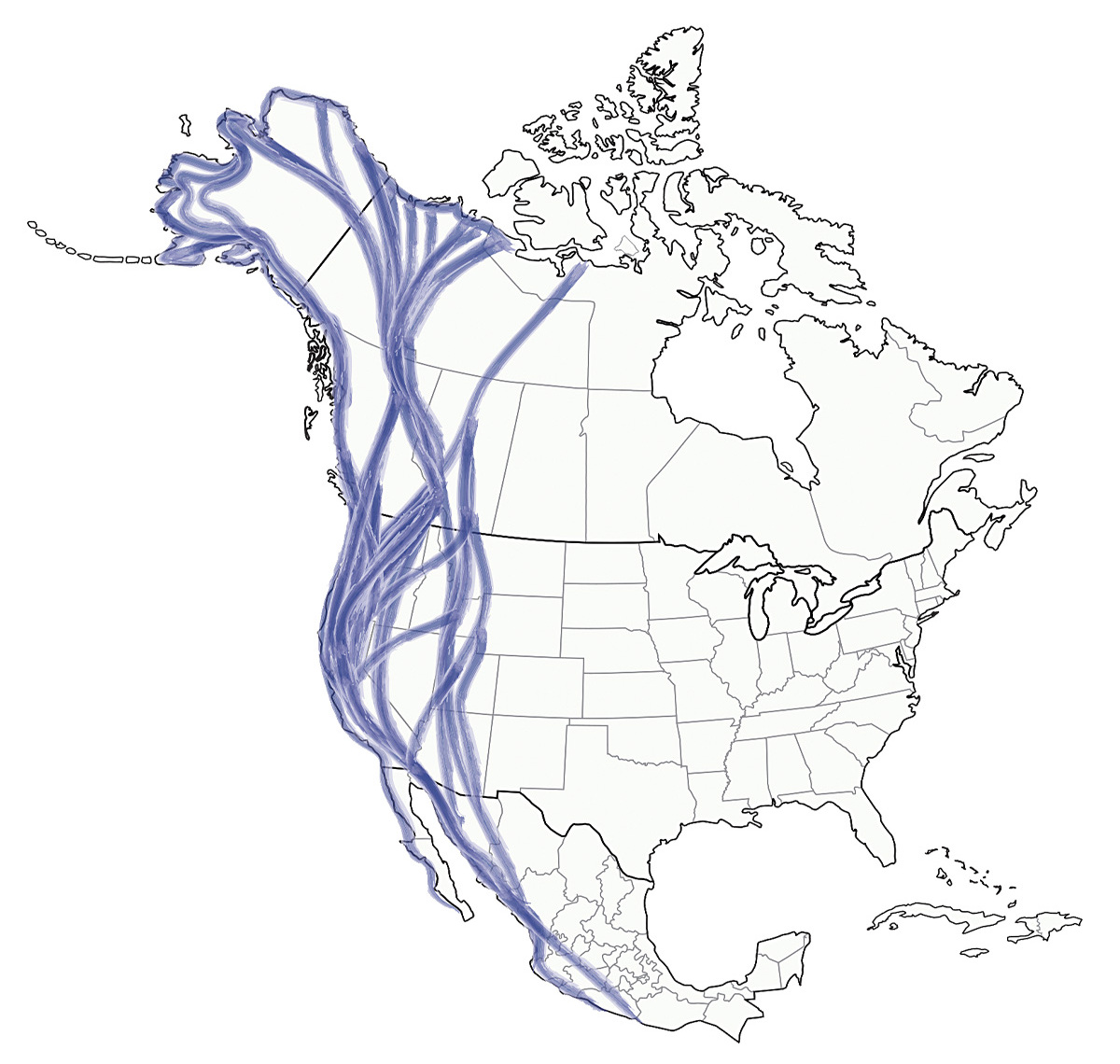Highways In The Sky: The North American Flyways