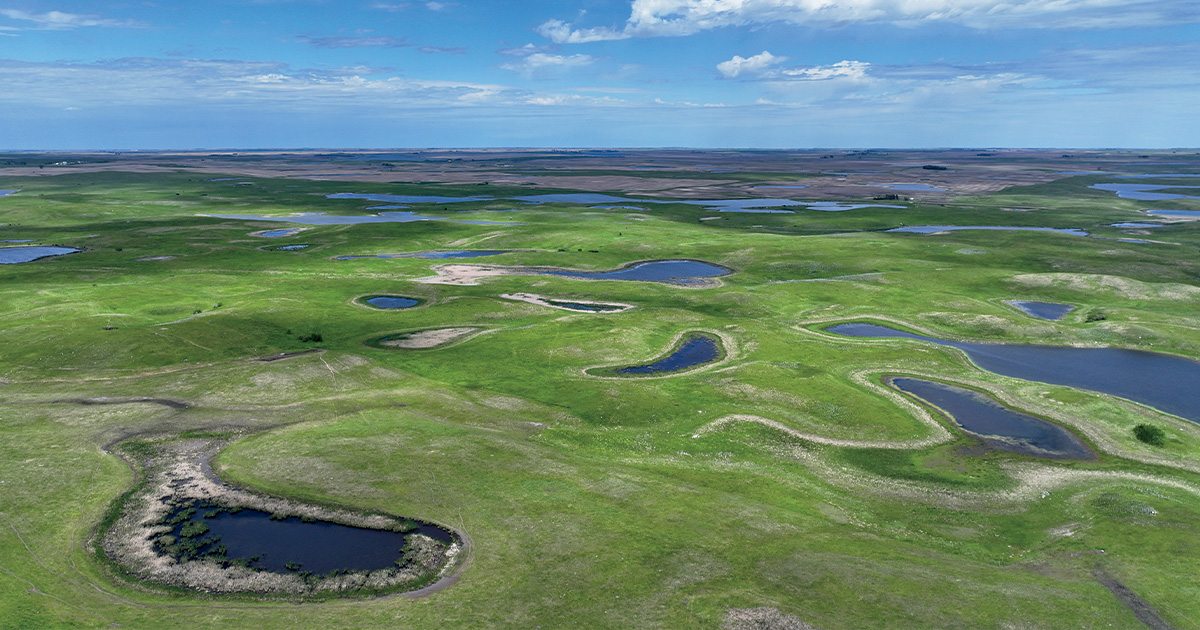 Image for One Acre at a Time