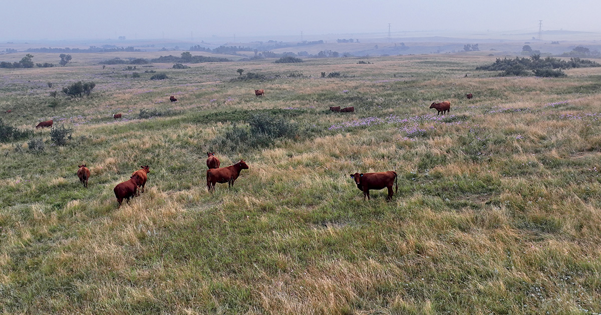State of the Prairies