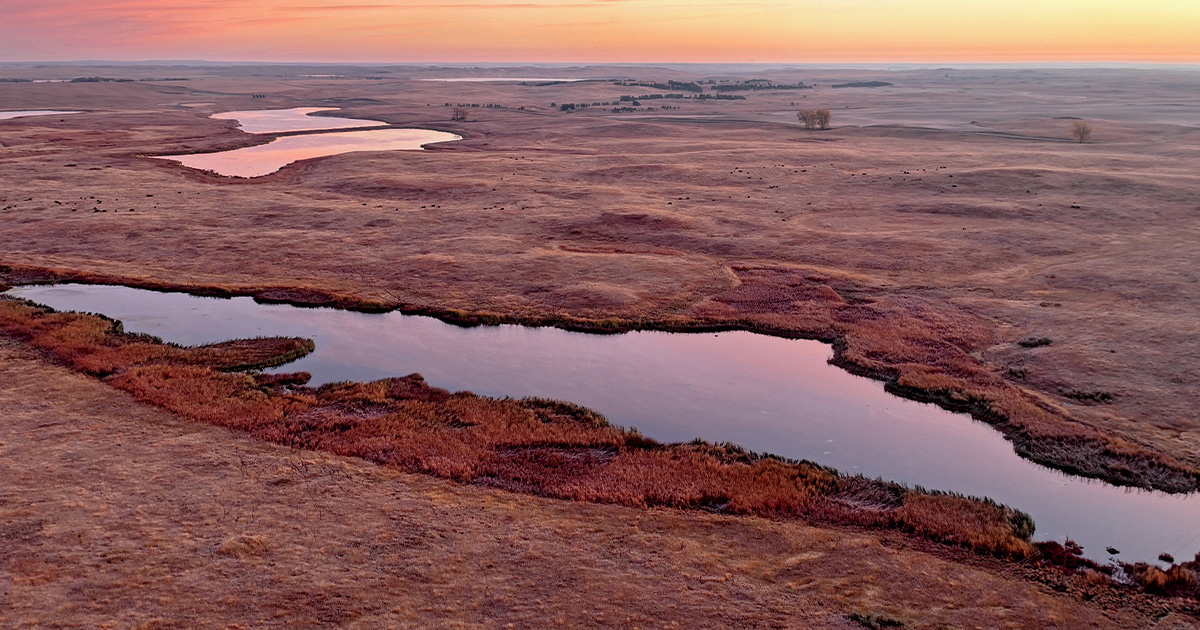 Image for State of the Prairies