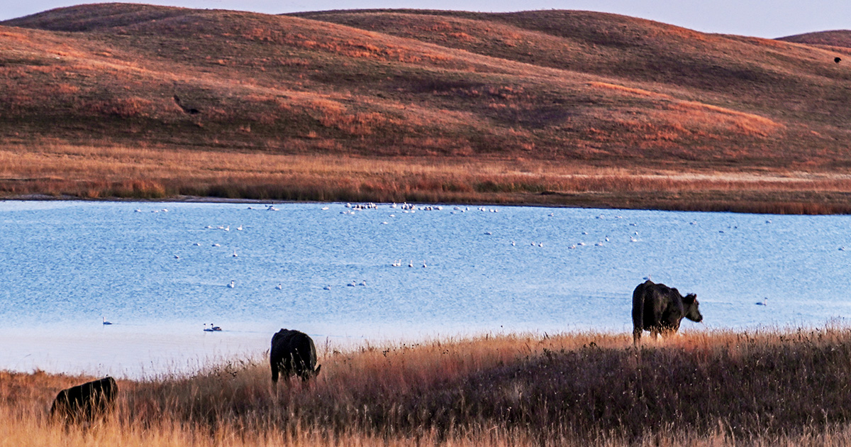 State of the Prairies