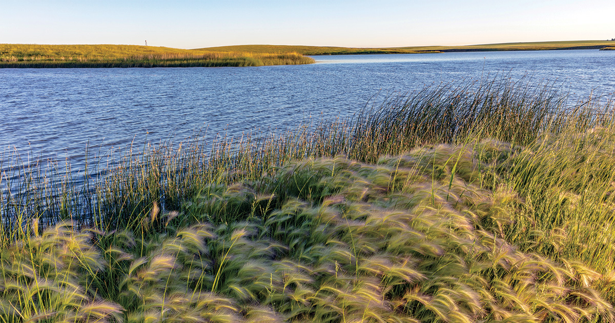 State of the Prairies
