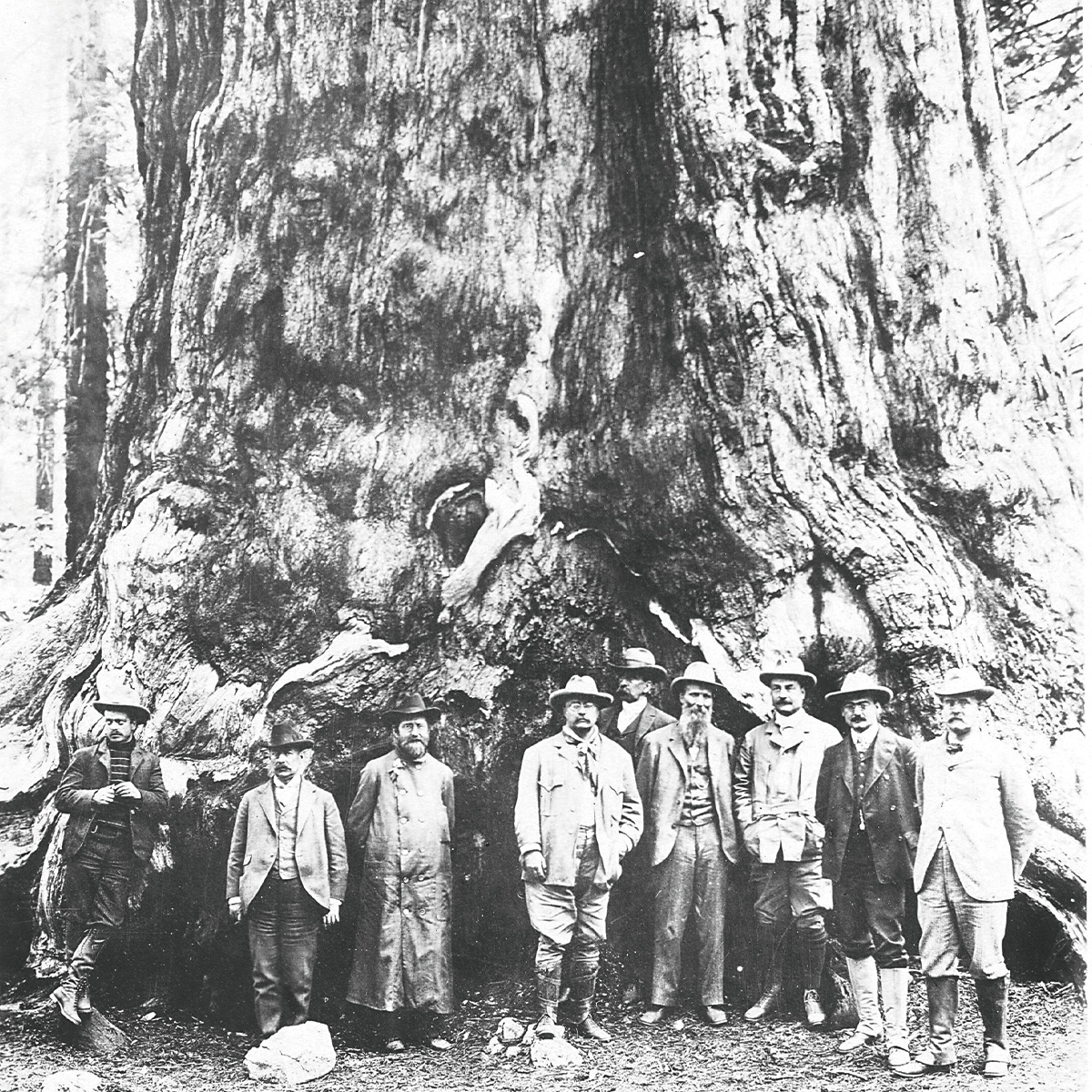 Theodore Roosevelt and the Fight to Save America’s Wildlife