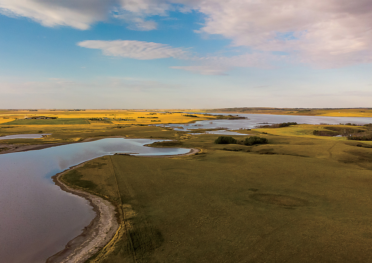 Aerial image of Prairie Pothole Region. Photo by Shutterstock