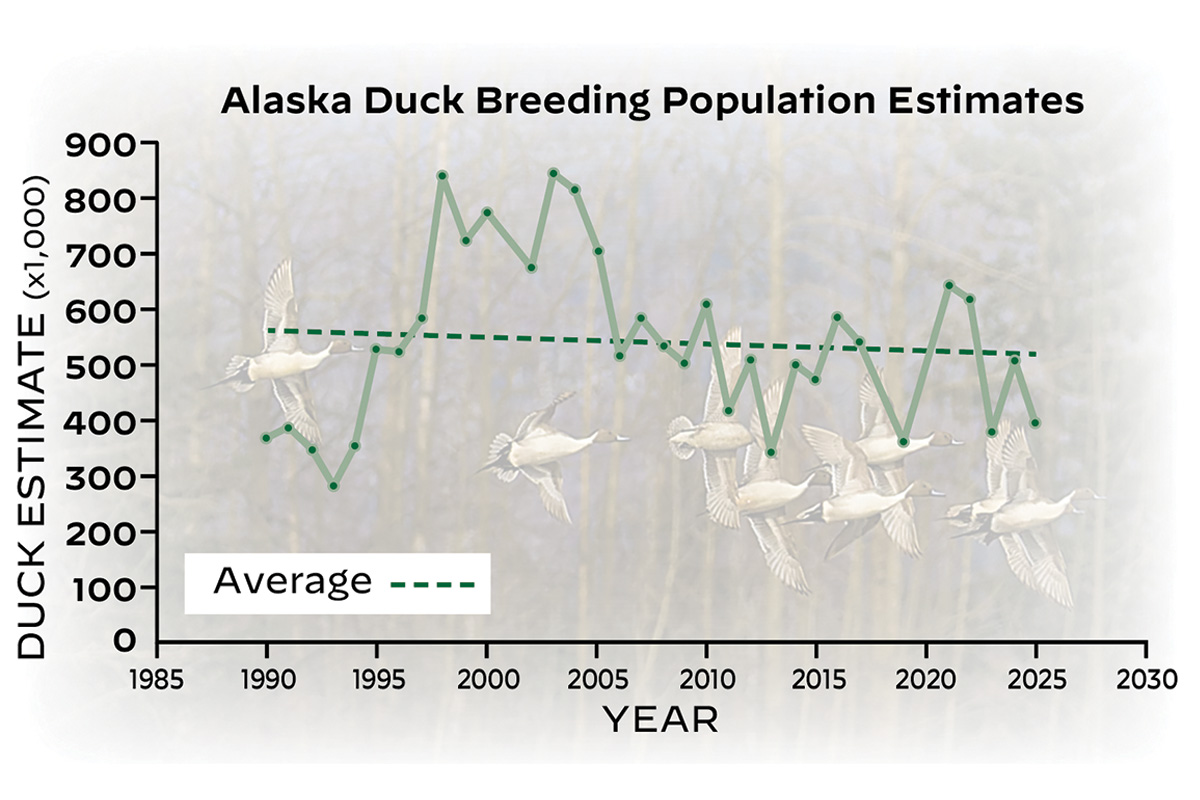 Waterfowl Conservation’s Last Frontier