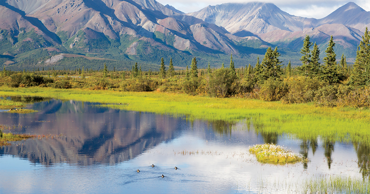 Image for Waterfowl Conservation’s Last Frontier