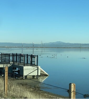 South Bay Salt Pond Restoration Project in California