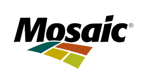 Mosaic Foundation