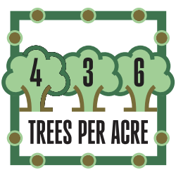 Trees Per Acre Chart