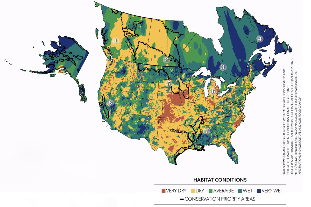 Image for Field Reports: 2023 Late-Winter Habitat Update