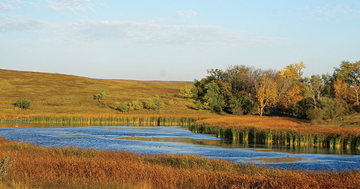 Image for Field Reports: 2023 Fall Habitat Outlook