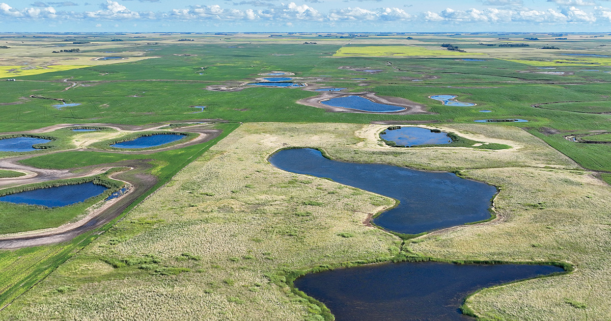 US Prairie Pothole Region. Photo by Ben Romans, DU