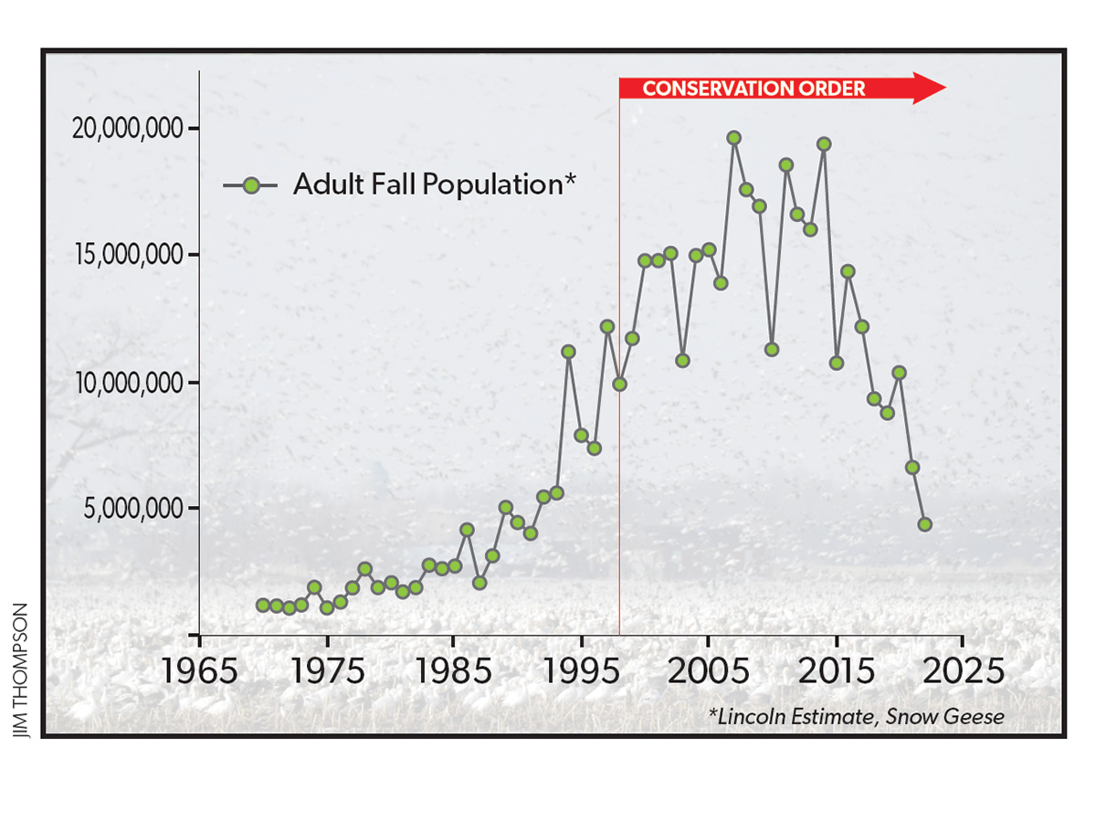 Snow Goose Fall Population Chart .jpg