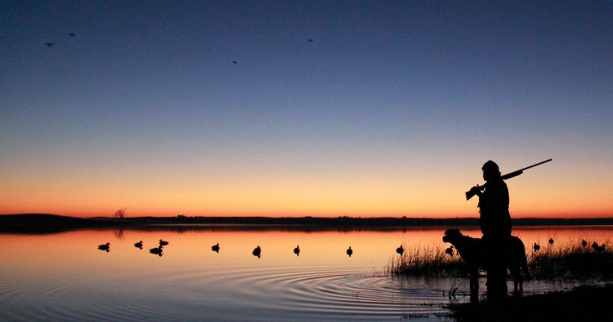 Image for History of Waterfowl Harvest Management