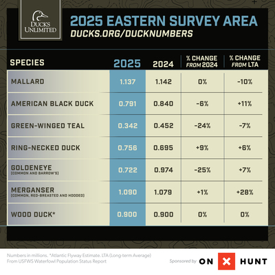 2025 Eastern Area_1080x1080 .jpg