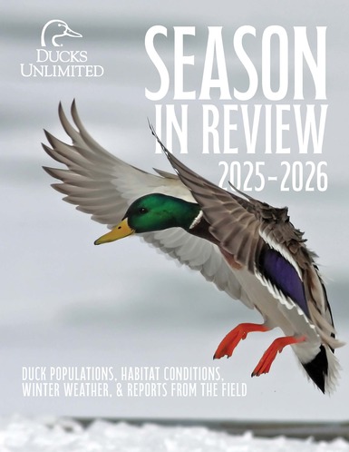Season In Review_2026.jpg