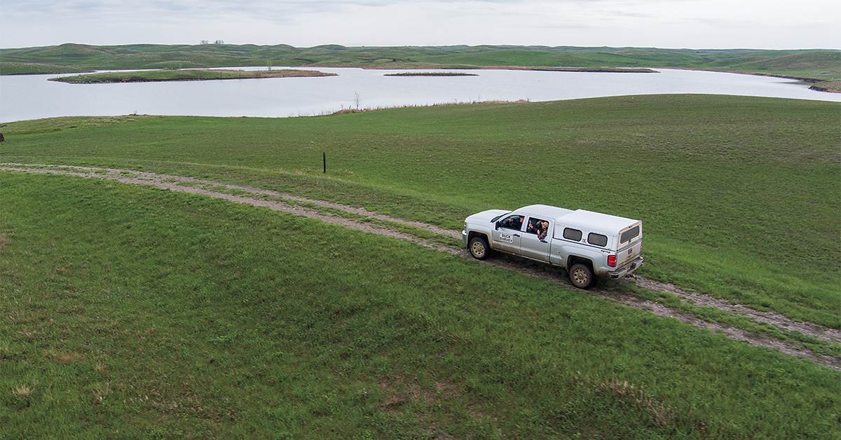 Image for The Duck Chase