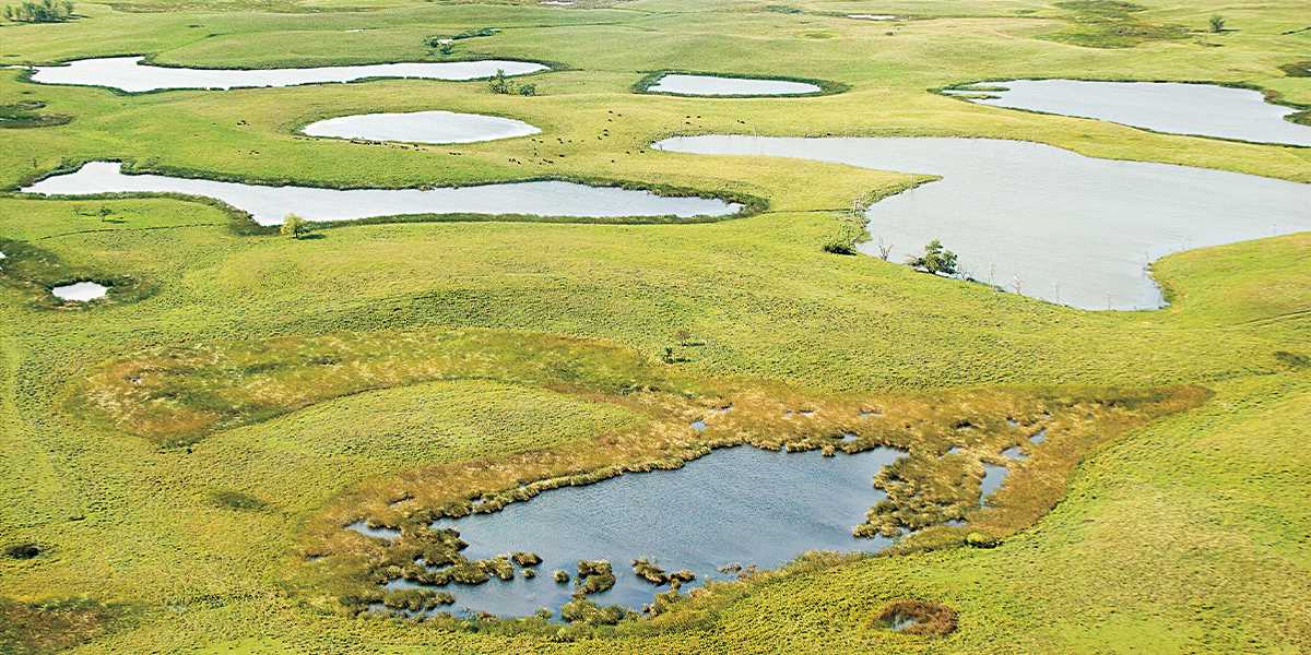 American Prairie purchases land next to tribe, waterfowl preserve