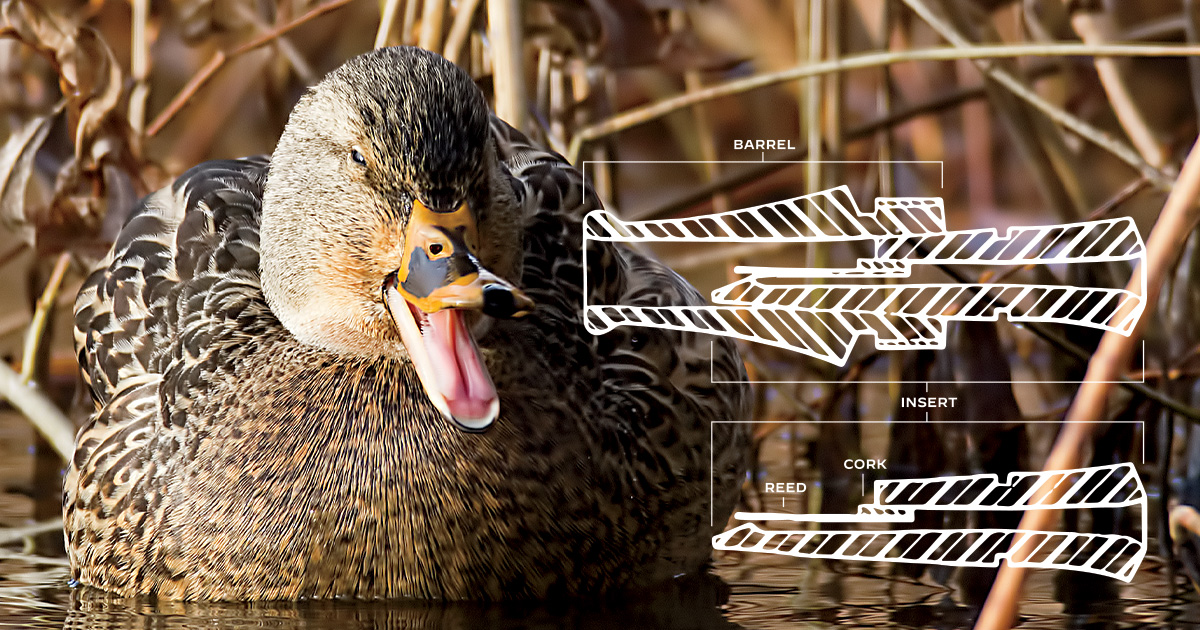 Understanding Waterfowl: Science and Duck Calling