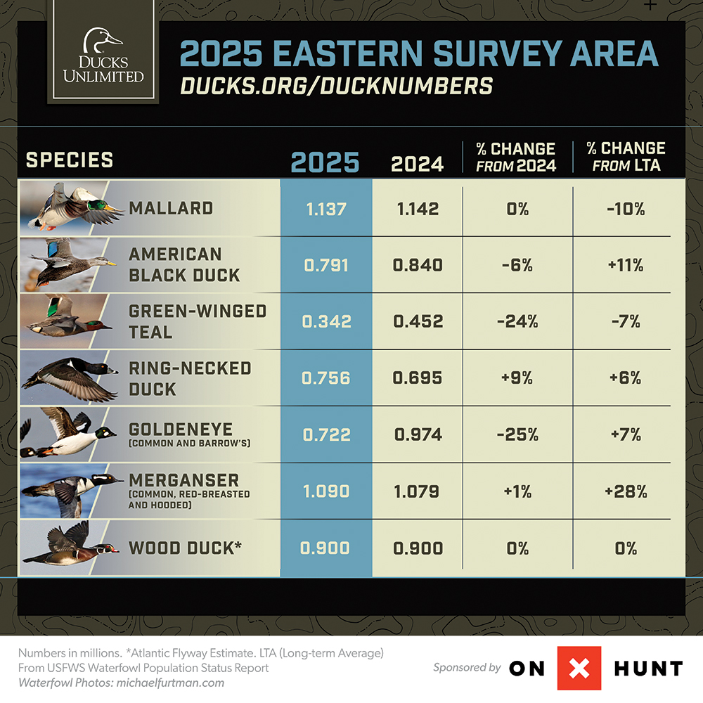 2025bpopsurveychart.jpg
