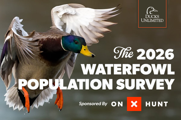 Image for 2026 Waterfowl Population Survey Results