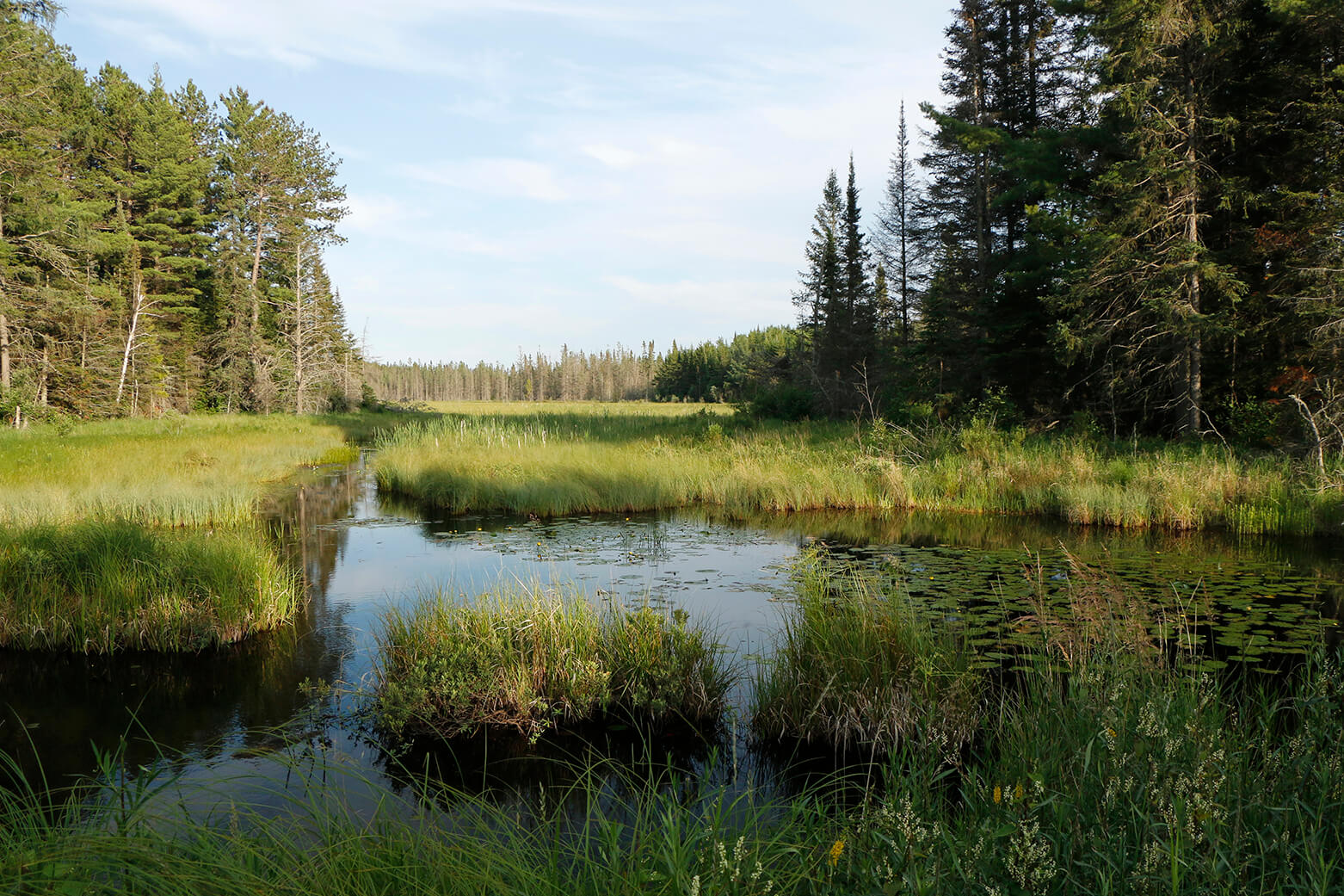Lower Great Lakes Photo