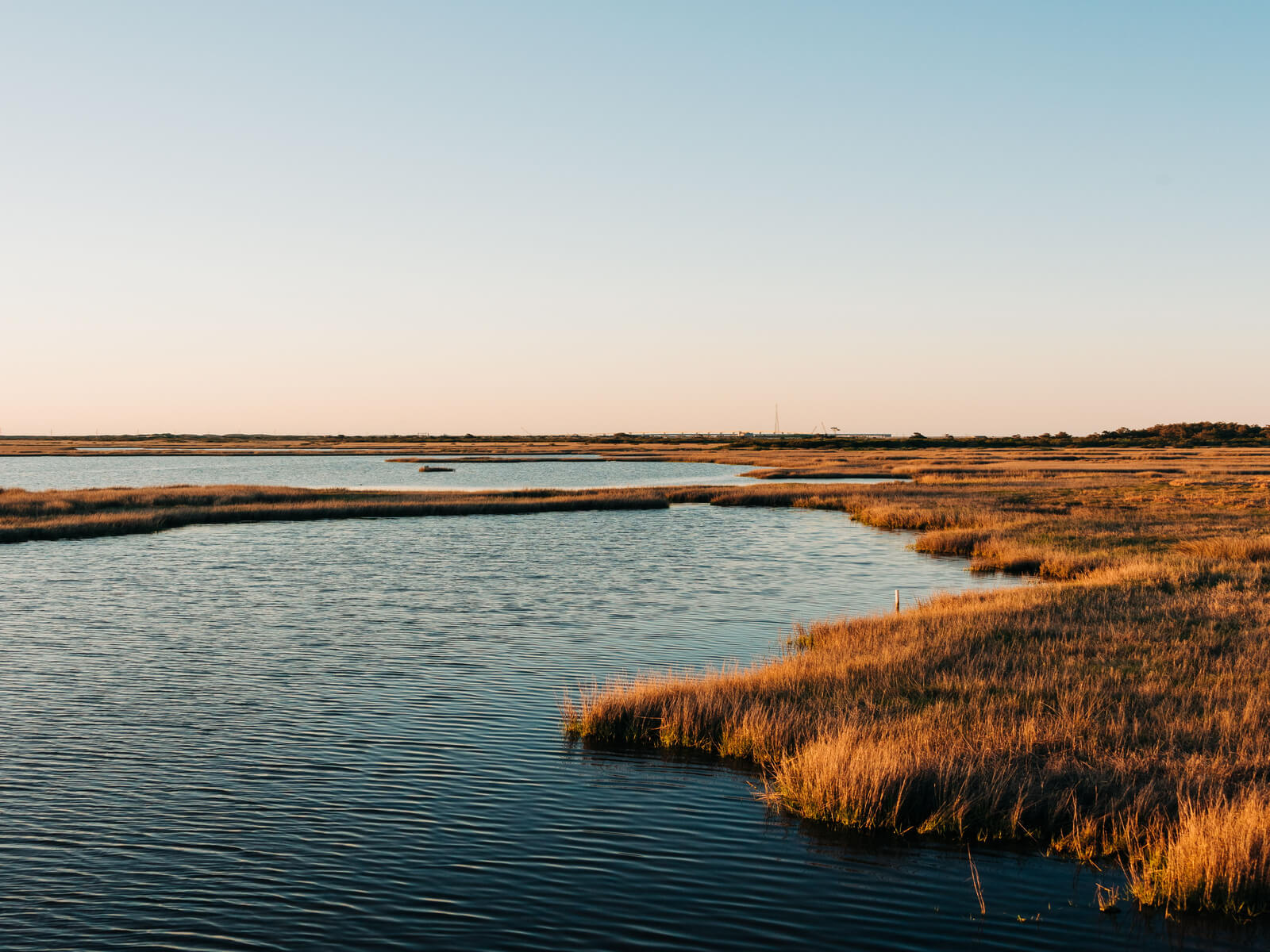Southeast Costal Plain Photo