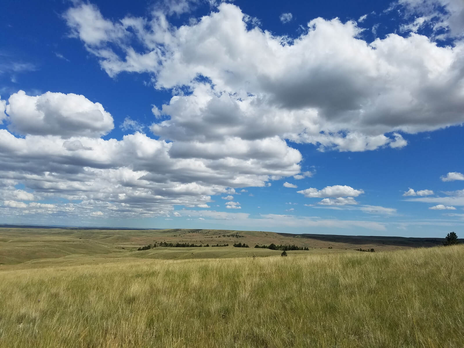 Northwestern Great Plains